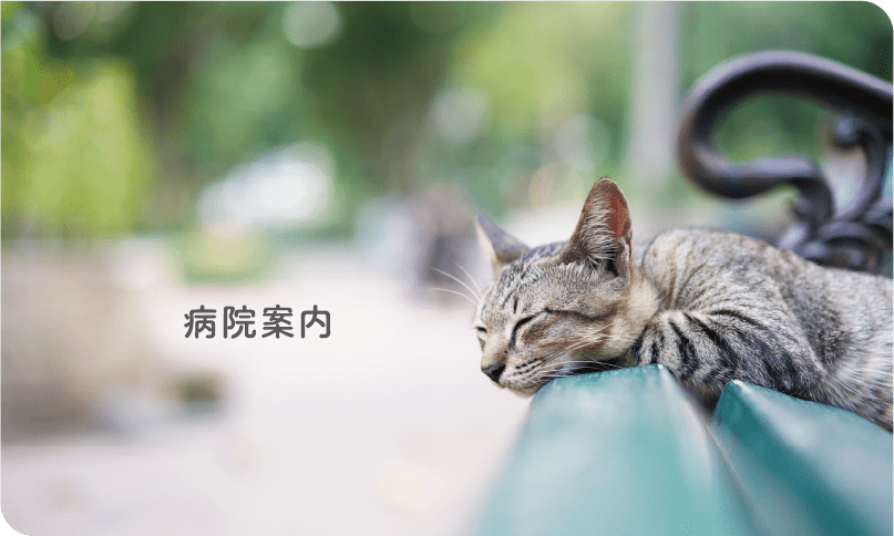 病院案内